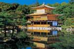 kinkaku-golden temple - kyoto